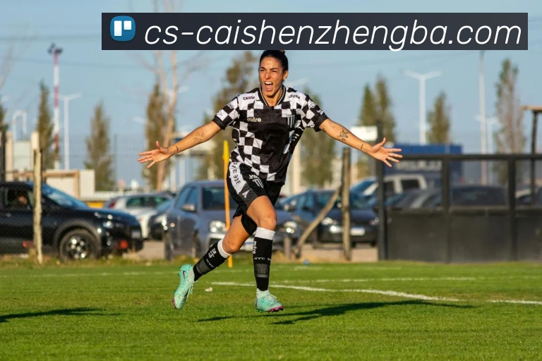 彩神争霸平台生态图